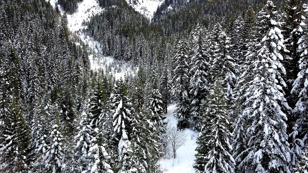 CENTRO FONDO VALLE ELLERO